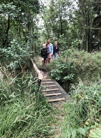 Tipperne camping natur 6.jpg