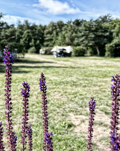 Tipperne Camping - Stemning 8.jpg