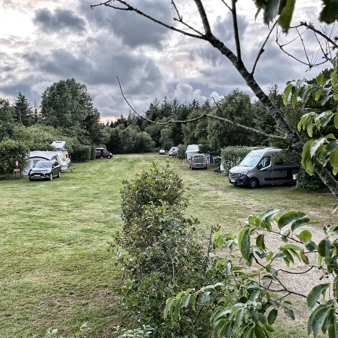 Tipperne Camping - Stemning 1.jpg